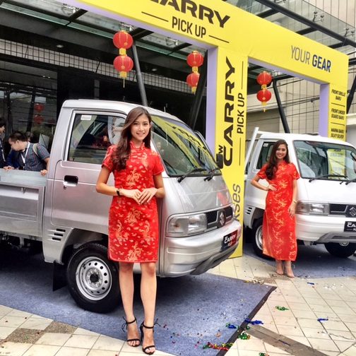 Suzuki New-iceberg window films